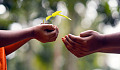 a pair of hands offering the gift of a plant to another set of hands